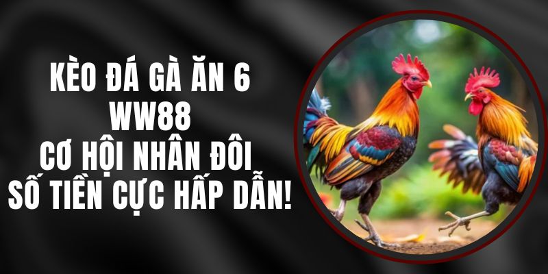 Kèo Đá Gà Ăn 6 WW88 – Cơ Hội Nhân Đôi Số Tiền Cực Hấp Dẫn!